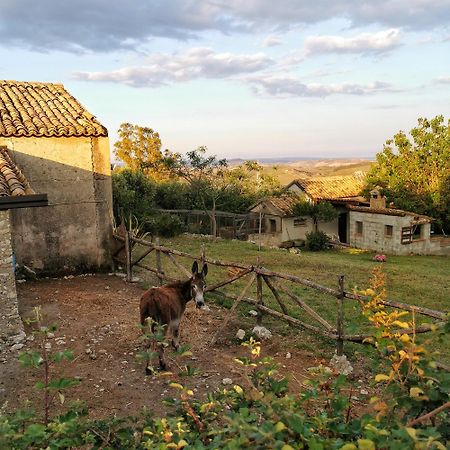 Villa Borgo Santa Lucia Cropani Exterior foto